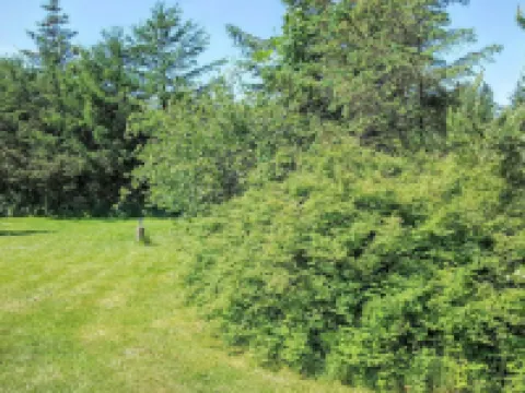 Hotel Strandlyst Badehotel Hotels in Hirtshals