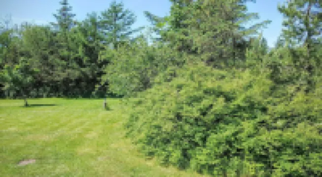 ホテル ストランドリスト バデホテル