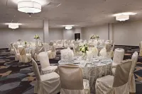 Sheraton Westport Plaza Hotel St. Louis - breakfast