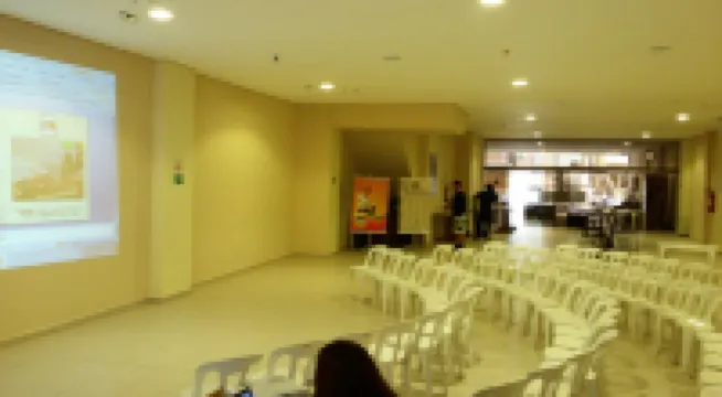 蒙特雷伊酒店 聖維森特酒店