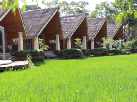 Avasta Resort & Spa Hotels in 