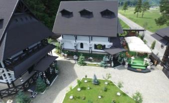 Complex Lions Bucovina
