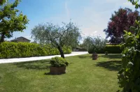 Rosa di Assisi Hotels in Bastia Umbra