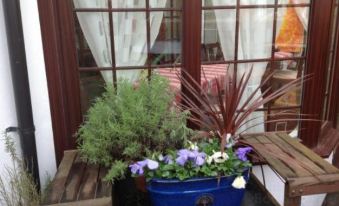 The Laurels Bed and Breakfast - Housity