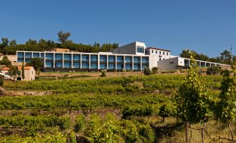 a large building is perched on a hillside overlooking a vineyard and vineyards below it at Douro Palace Hotel Resort & Spa