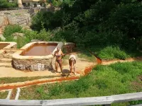 Hotel Christina - Happy Days Hotels in Stomio