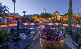 Hacienda del Sol Guest Ranch Resort