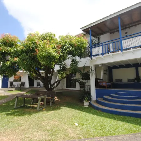 Bananaquit Tobago -Stay Near the Beach