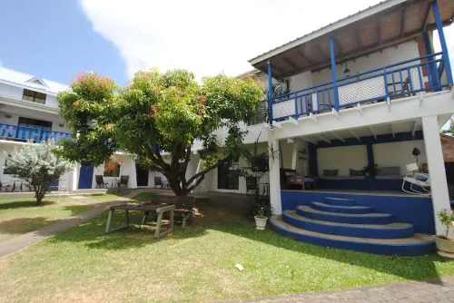 Bananaquit Tobago -Stay Near the Beach