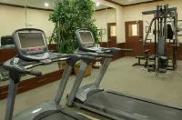 Holiday Inn Express & Suites LUFKIN SOUTH by IHG - Gym