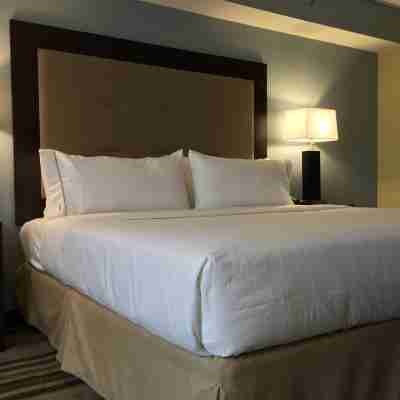 Holiday Inn Express Chicago NW - Arlington Heights Rooms