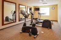 Holiday Inn Express & Suites GLOBE by IHG - Gym