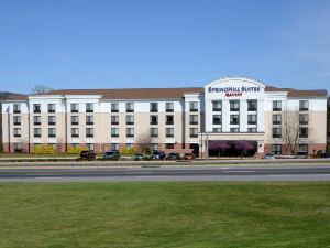 SpringHill Suites Lynchburg Airport/University Area