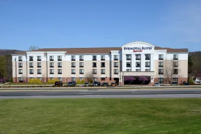 SpringHill Suites Lynchburg Airport/University Area