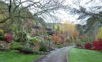 Mast Gully Gardens Bed & Breakfast