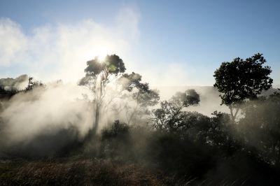 ホテル周辺 ボルケーノ ハウスの写真