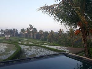 Dukuh Village Villas & Art