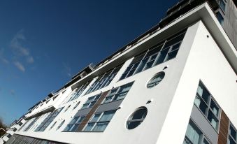 The Paramount By Flying Butler