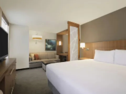 ハイアット プレイス ソルト レイク シティ / コットンウッド ホラデイのホテル