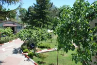 Shila Tatil Koyu
