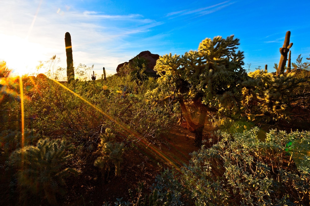 Holiday Inn Express & Suites Phoenix - Airport North, an Ihg Hotel