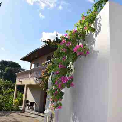 Hotel Margarita and Tour Operator Drake Bay Hotel Exterior