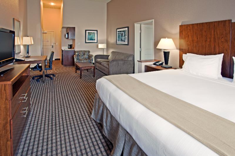 Holiday Inn Express Hotel & Suites Port Arthur, an Ihg Hotel