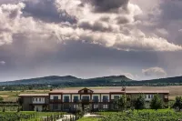 Château Mosmieri Hotel & Winery Hotels in Kisiskhevi