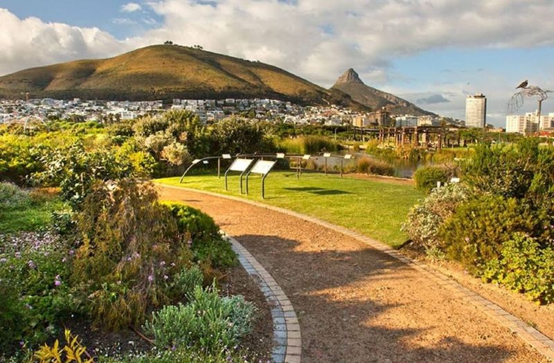 Open-plan 1 Bedroom Apartment In Green Point-Cape Town Updated 2022 Room  Price-Reviews & Deals | Trip.com