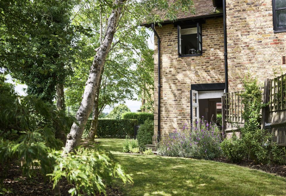 Cozee Monkey Over view