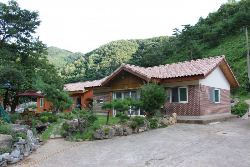 삼척 샘터애견펜션 사진