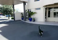 Pacific Motor Inn
