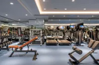 Radisson Blu Hotel, Sakarya - Gym