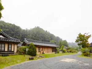 Chungju Wildflowers and Gotaengnadeuri