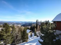 Willegger Hotels in Gemeinde Albeck