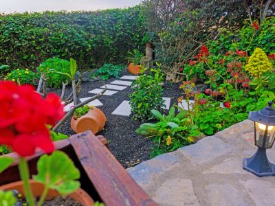 a beautiful garden with various plants , flowers , and trees , creating a serene and inviting atmosphere at Titi Titi Photo