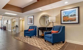 Comfort Inn Pearl