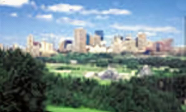 Best Western Cedar Park Inn