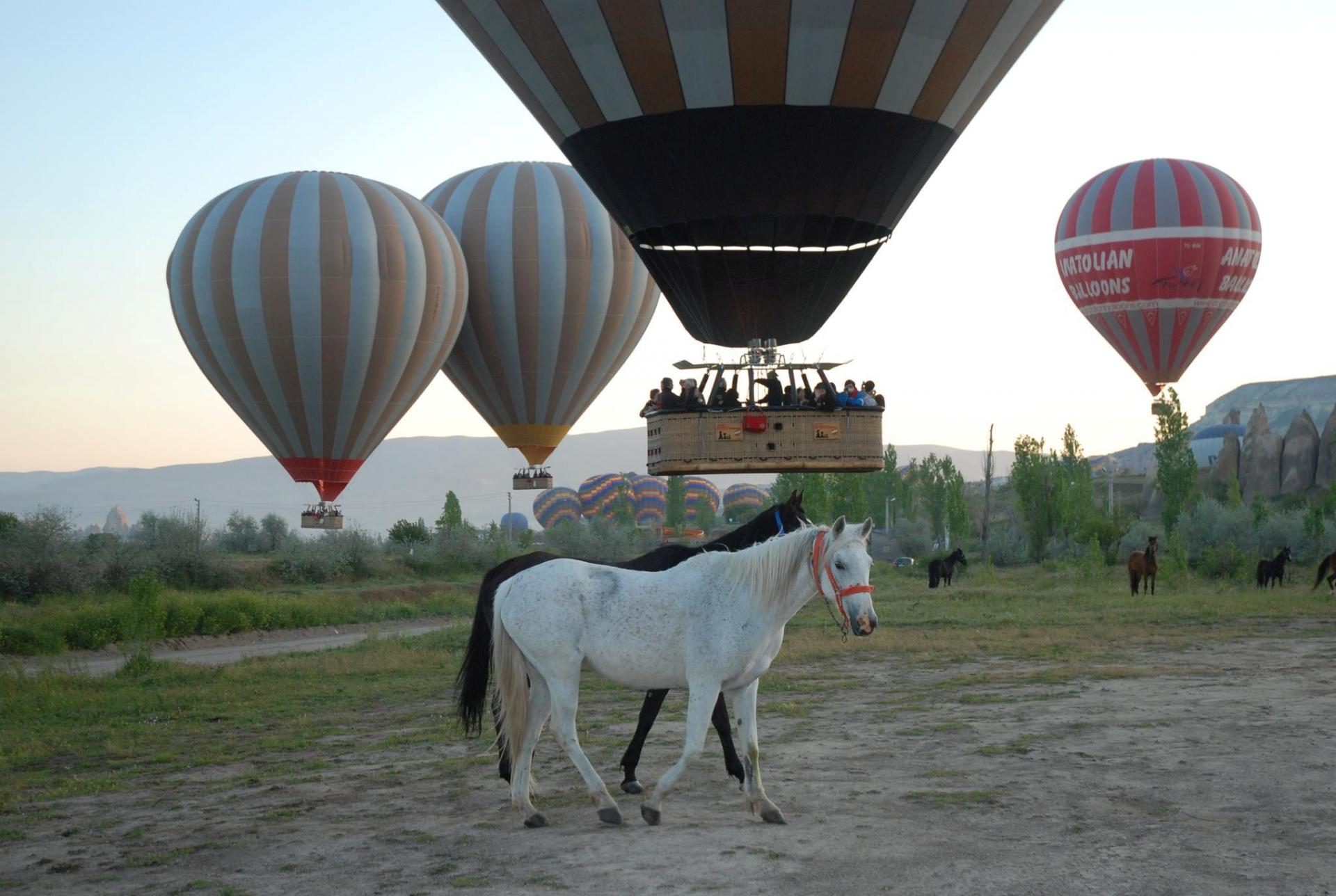 Turquaz Cave Hotel