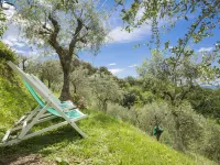 Casaccia - Pet Friendly