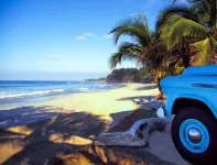 W Punta de Mita - 5 ดาว