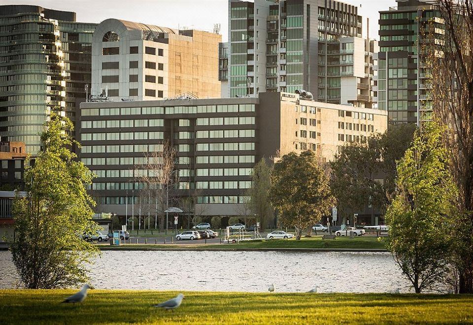 a city park with a large building in the background and a lake in the foreground at Pullman Melbourne Albert Park