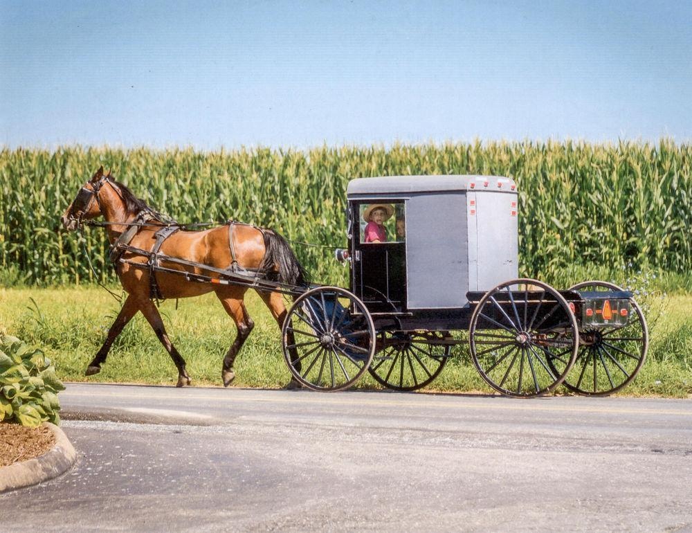 Harvest Drive Family Inn Intercourse - Amish Country