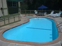 Vinland Hotel and Lounge - Pool
