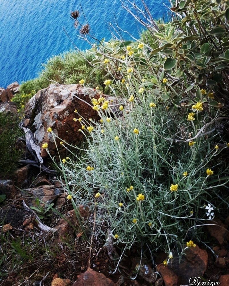 Adrasan Deniz Hotel