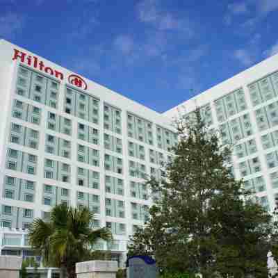 Hilton Orlando Hotel Exterior