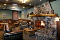 Marmot Lodge Jasper Hotels in Jasper