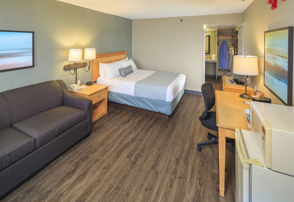 액센트 인스 버내비 이미지