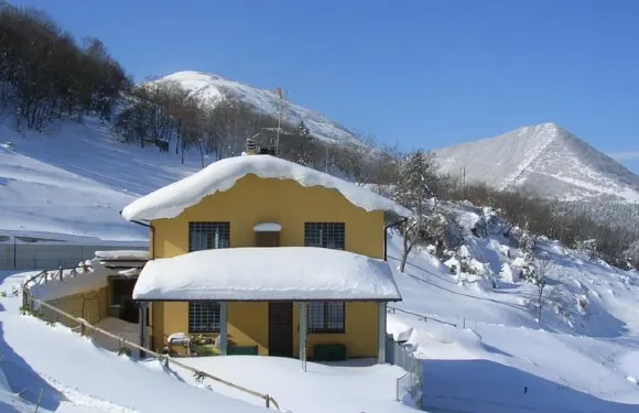 山毛櫸農場鄉村民宿