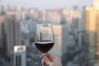 신라스테이 마포 홍대 - 뷰